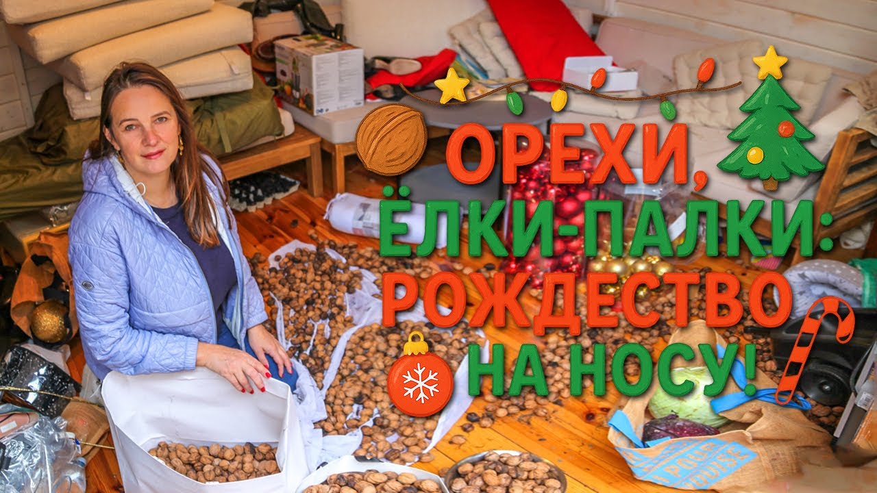 Елки-Палки 🪵 Подготовка рождественской сказки 🎅🏼 Богатеем на орехах 🌰