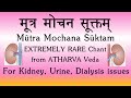 Mootra Mochana Suktam | RARE CHANT | Atharva Veda | Treating Kidney & Urinary Issues | Sri K Suresh