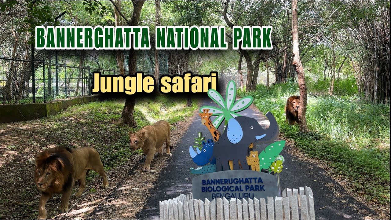 Bannerghatta National Park Jungle Safari അറിയേണ്ടതെല്ലാം