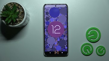 How to Check the Android Version on the MOTOROLA Edge 30 Neo