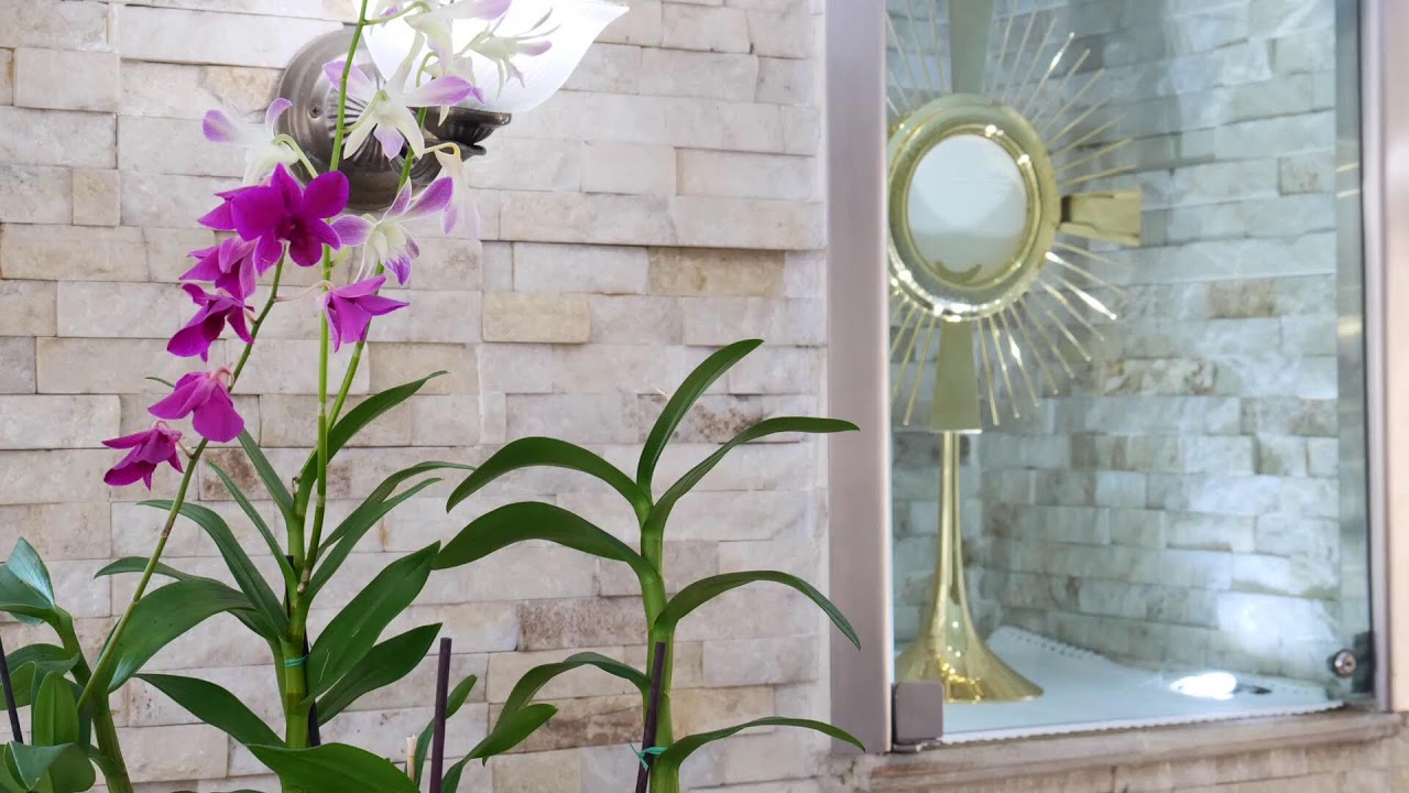 Coronilla a La Divina Misericordia-19/01/2026.