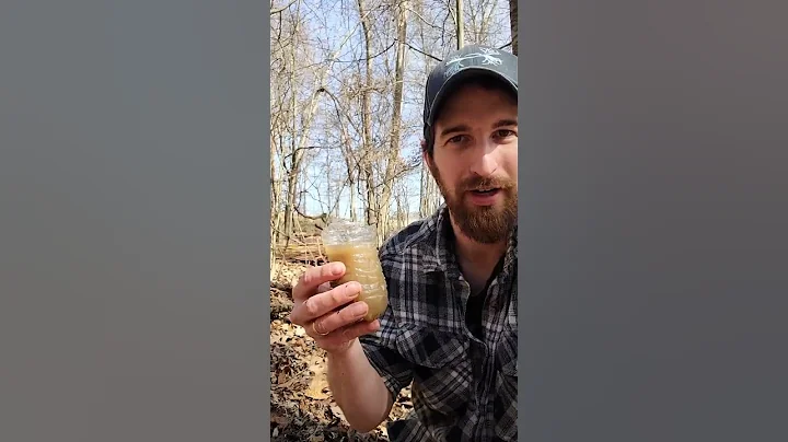 Get clean drinking water from mud💧 - DayDayNews