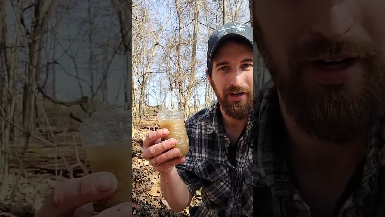 Get clean drinking water from mud💧 - YouTube