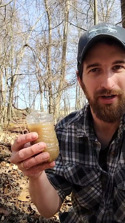 Get clean drinking water from mud💧