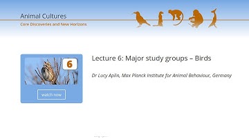 Animal Cultures : Lecture 06 : Major study groups – Birds