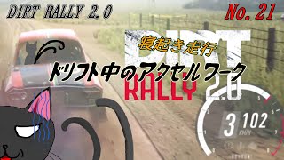 「DiRT Rally 2.0」21