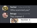 How Beluga Gets Scammed By Heckler...