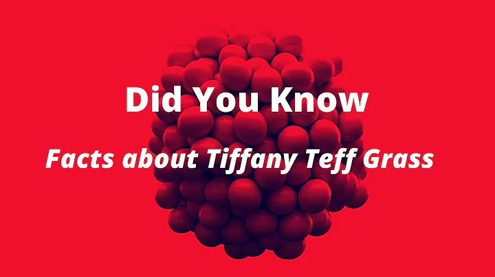 Facts about Tiffany Teff Grass