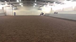 Test Video of Diamond