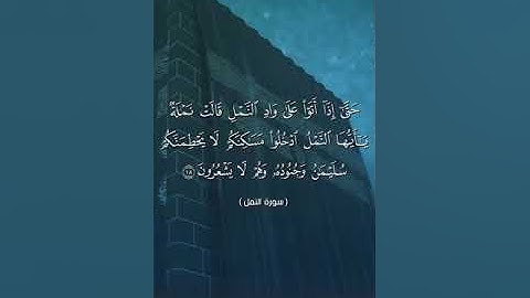 سورة النمل آية 18 و 19 القارئ ياسر الدوسري