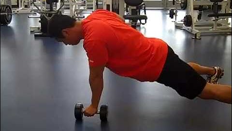 Dumbbell Plank Row