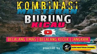 KOMBINASI MASTERAN : BELALANG Emas | BELALANG Kecek | JANGKRIK [BACKSound Gemericik AIR]