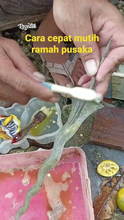 Ternyata sangat mudah, cara mutih yang ramah pusaka. #pamor #keris #pusaka