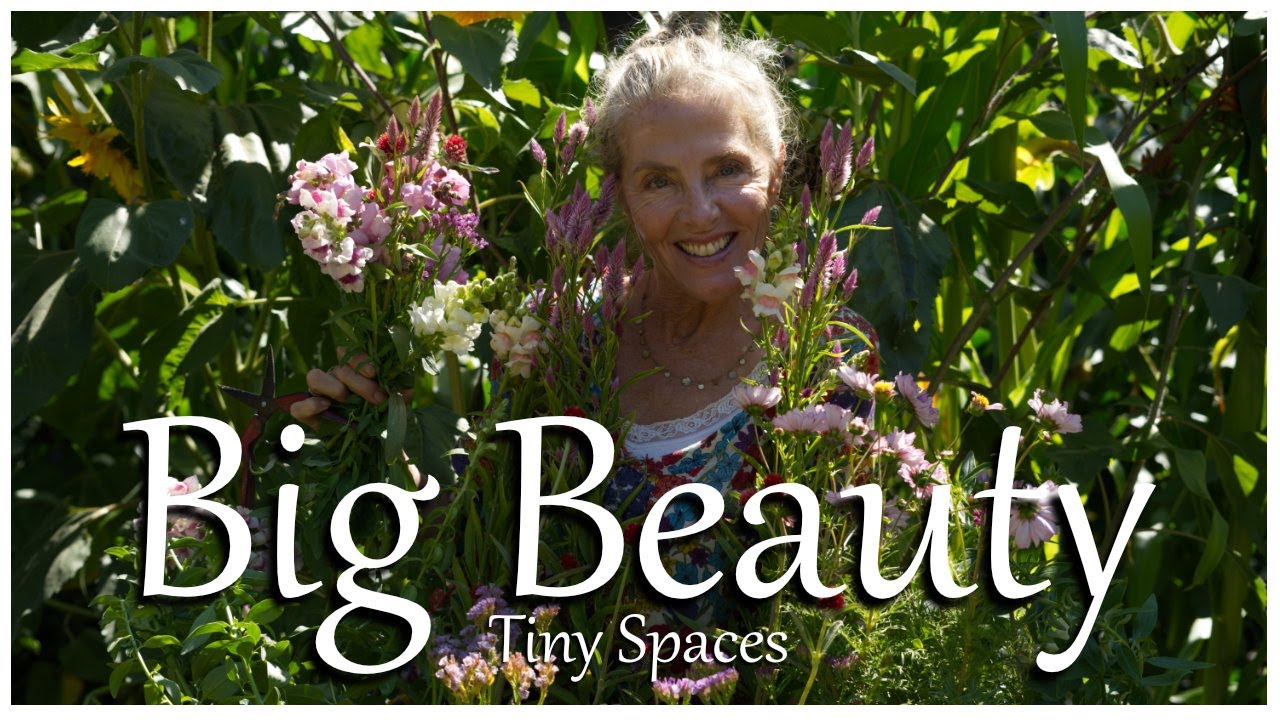 Big Beauty in Tiny Spaces?  Discover the Joy of Container Cutting Gardens! 