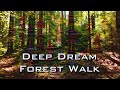 Deep Dream Forest Walk &amp; E-Mantra - The Hermit&#39;s Sanctuary