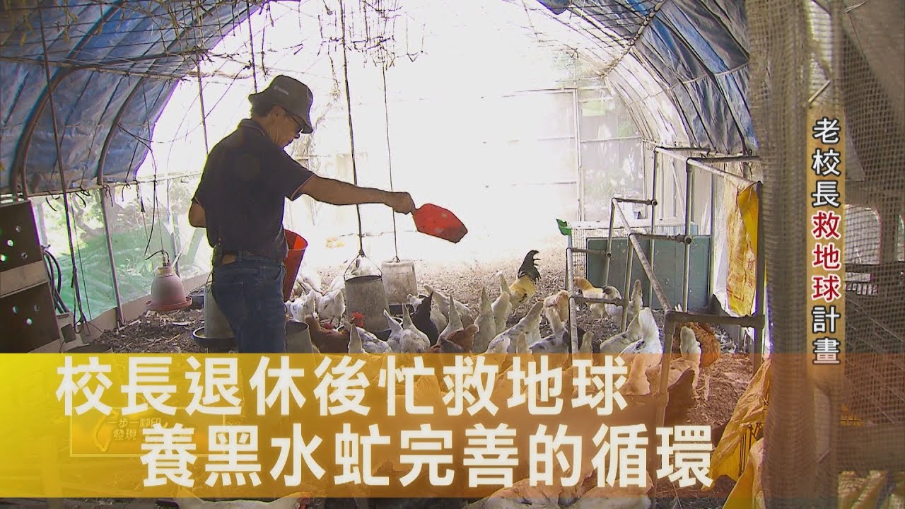 〔彰化〕老校長救地球計畫！自家三分地農場做範例 養黑水虻 自耕自食落實土地友善循環∣一步一腳印【老校長救地球計畫】20251012