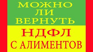 Можно ли вернуть НДФЛ с алиментов