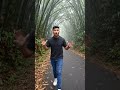 Jungle traveling vlog #trending #shortsfeed