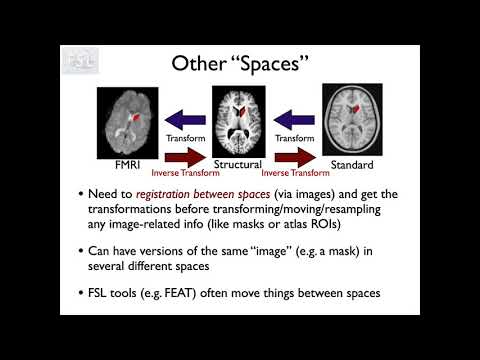 2. Registration: Image Spaces and Spatial Transformations (Reg E2)