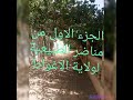 مناضر الطبيعة لولاية الاغواط 