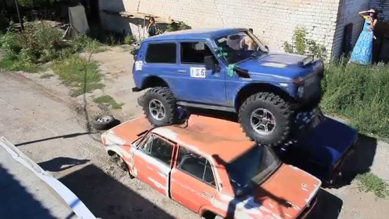 Чистили пруды и вытащили ниву