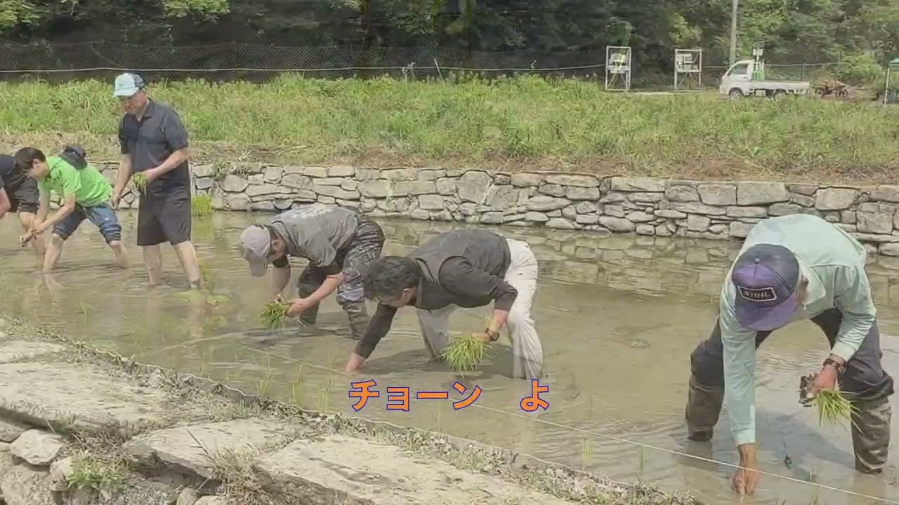 田植えのうた「ひゃくしょうは」　ー対馬の神事にあやかって　2026年6月10日ー