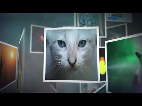 After Effects Template | 100 Photos Dynamic Slideshow Template | No Ads | 100% Free | Tutorial