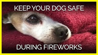 5 Ways to Help Your Dog Survive Fireworks