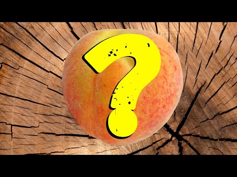 Vídeo: Diferença Entre Nectarina E Pêssego
