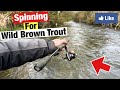 Spinning on a wild irish river for trout