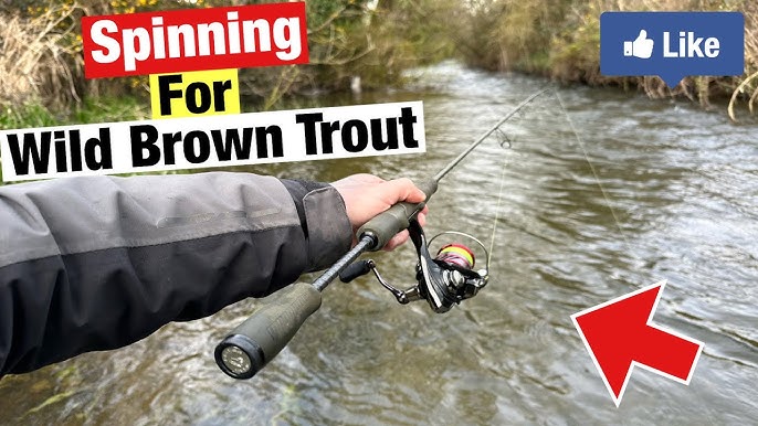 Ultralight fishing for Irish river Brown Trout with Mepps spinners 