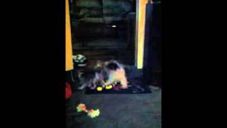 Buffy davis Net Worth