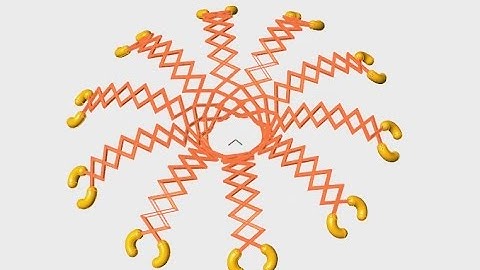 [Grasshopper] 0089 Magic Hands + Anemone (Fast ver.)