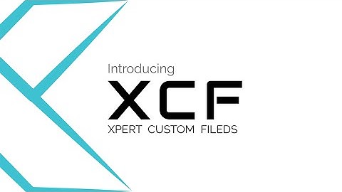 Sneak Peek of Xpert Custom Fields
