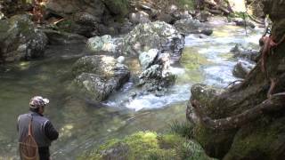 渓流ルアー アマゴ ボトムトゥイッチャー50