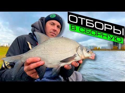 РЫБАЛКА НА ФИДЕР / ЛОВЛЯ ЛЕЩА / FROS FISHING