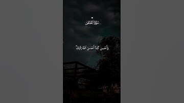 من سورة/ القصص الشيخ ماهرالمعيقلي #قرآن