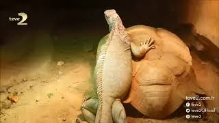 Çok Gezenti Burak Akkul Çinin Altını Üstüne Getiriyor