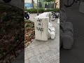Parir en la calle. www. es – art video Barcelone, street art video Barcelona, urban art clip