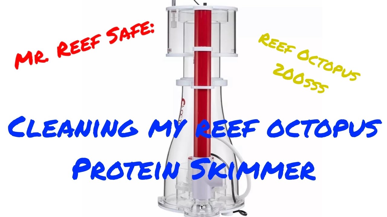 Cleaning my Protein Skimmer YouTube