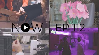 First-Class Flowers, The Scratching Sensation, Healthy Hearts, LINAC X2 | NOW EP112
