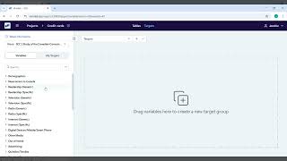 Vivintel Creating Demo Profile & Target