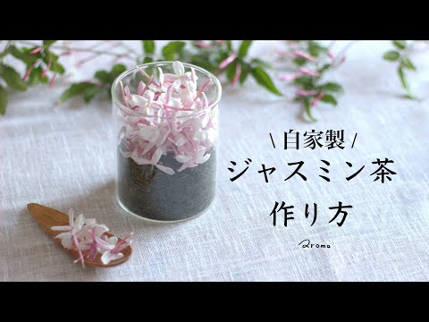 自家製ジャスミン茶を作ろう