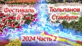 Фестиваль тюльпанов в Стамбуле часть 2. Апрель 2024