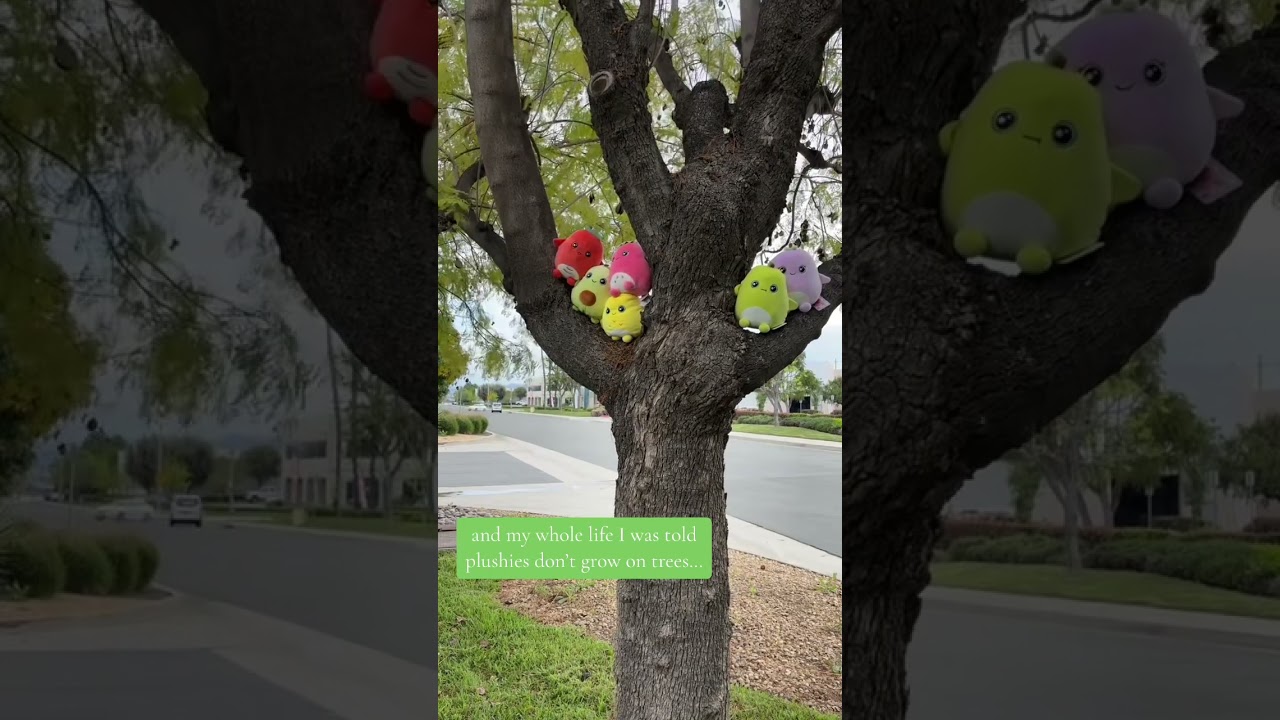 Create Your Own Fruit Orchard Starting at $3.99! 