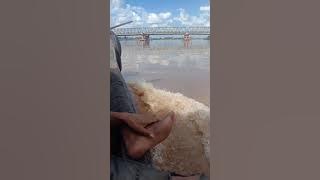 Ebiet G Ade .berita kepada kawan mp3 -mp4