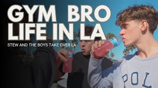 LA VLOG