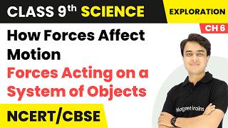 Forces Acting on a System of Objects - How Forces Affect Motion | Class 9 Science | Ch 6 | CBSE