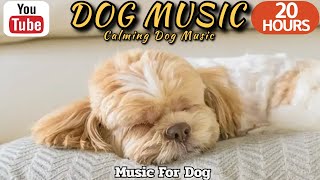 20 HOURS of Dog Calming Music🎵🐶Dog relaxation💖Anti Separation Anxiety Relief Music💖🎵Healingmate by HealingMate - Dog Music 15,699 views 1 day ago 20 hours