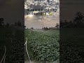 Tag farming reels ‘‘‘‘#kisan #farming #farmingreels #farminguk #jamidar #desilife #viralvideos #fory